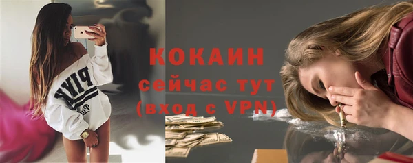 крисы Аркадак