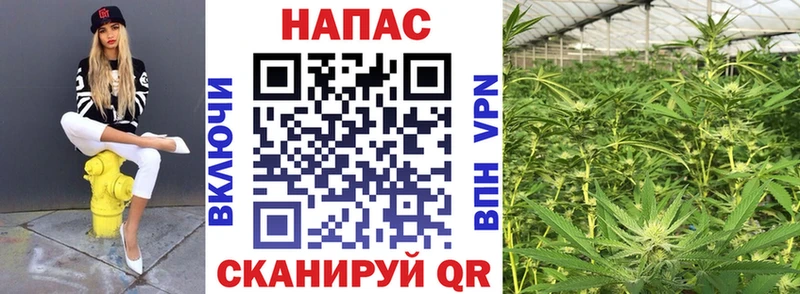 Бошки марихуана ГИДРОПОН  Армянск 